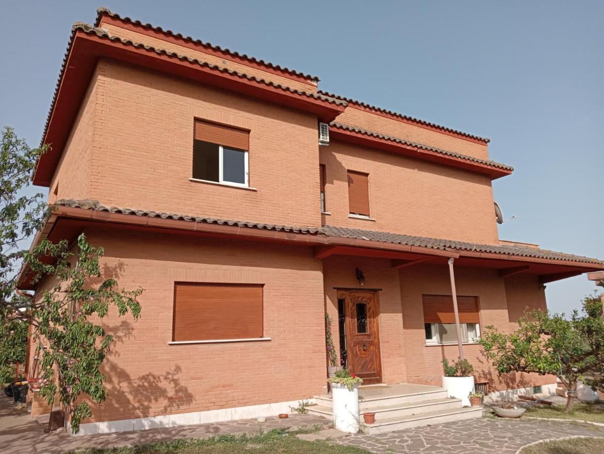 Da Piero E Gina Hotel Palidoro Exterior photo